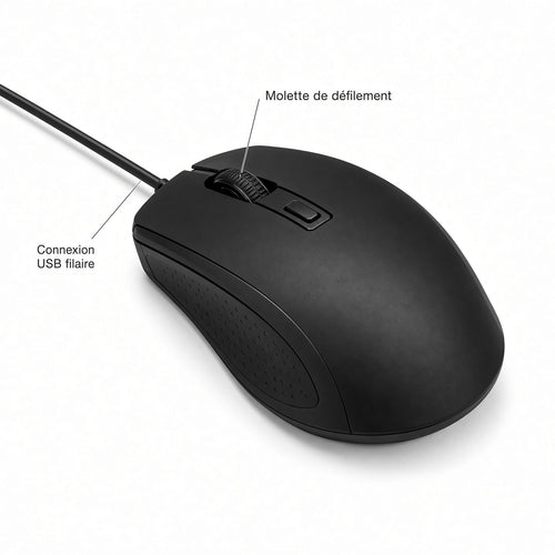 Souris USB Filaire Ergonomique pour Ordinateur et Bureau